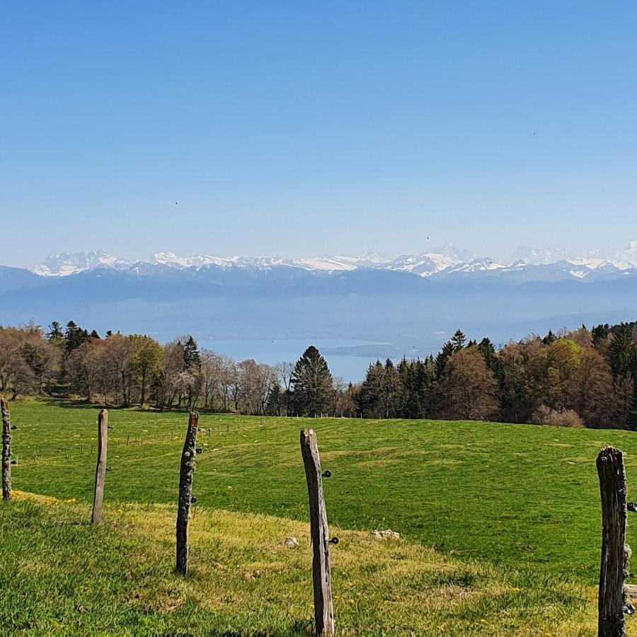 Residence Entre Monts Et Lac นีย็อง ภายนอก รูปภาพ