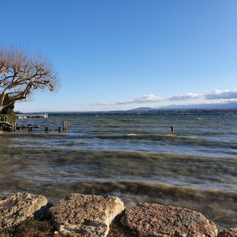 Residence Entre Monts Et Lac นีย็อง ภายนอก รูปภาพ